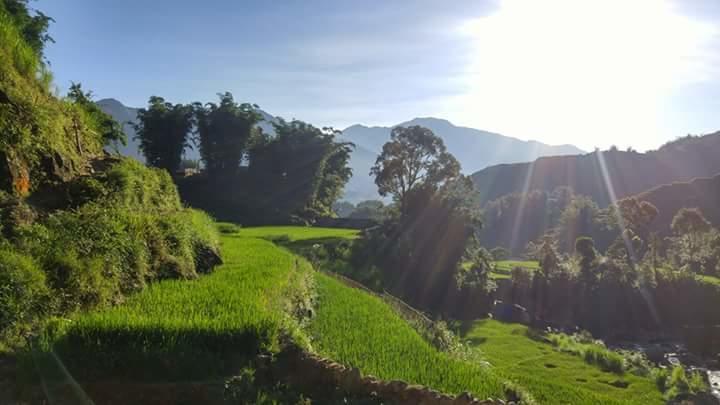 Nguyen Dang Guesthouse Sapa Bagian luar foto