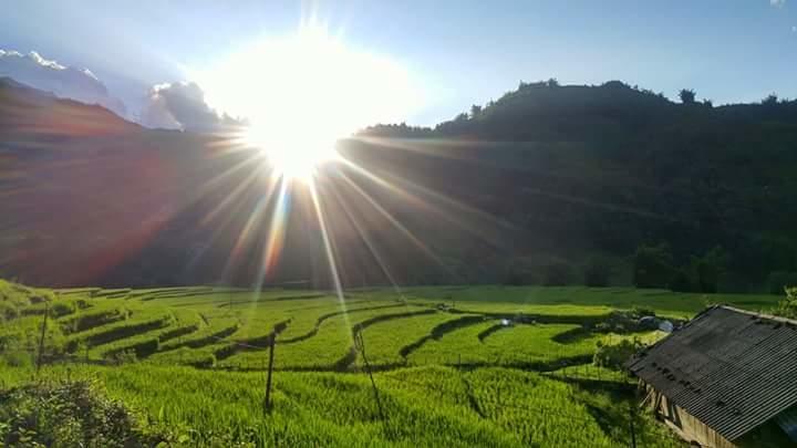 Nguyen Dang Guesthouse Sapa Bagian luar foto